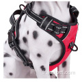 Harnais de gilet de marche pour chien